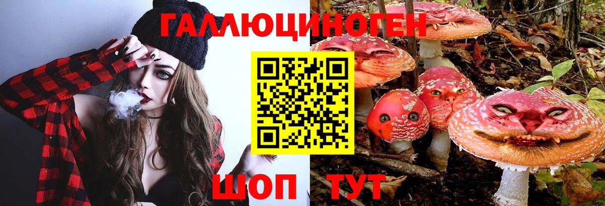 Галлюциногенные грибы GOLDEN TEACHER  Вход с VPN  Туймазы 